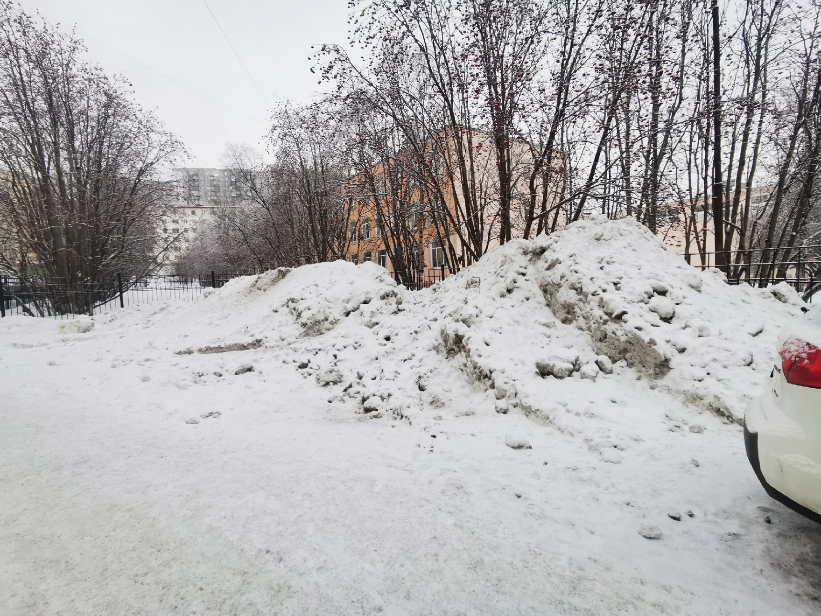 Муниципальный контроль в ходе рейда выявил нарушения Правил благоустройства  в Североморске