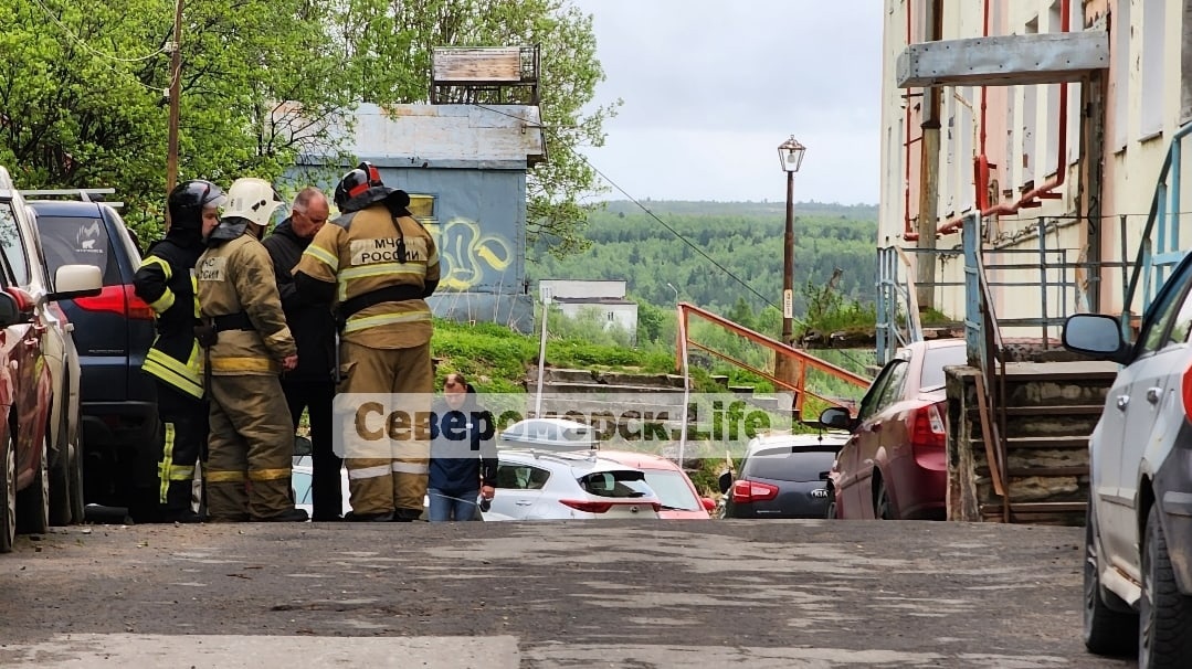 В Башкирии сняли на видео медведя, который бегает по улицам города