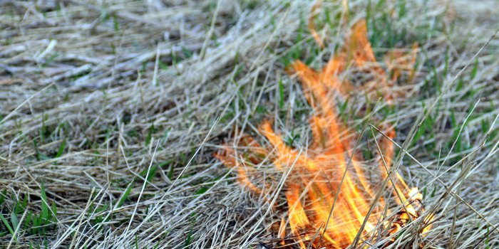 В течение пожароопасного сезона на территории ЗАТО г. Североморск запрещено разведение костров