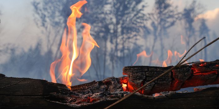 С 20 мая 2024 года на территории Мурманской области установлен пожароопасный сезон